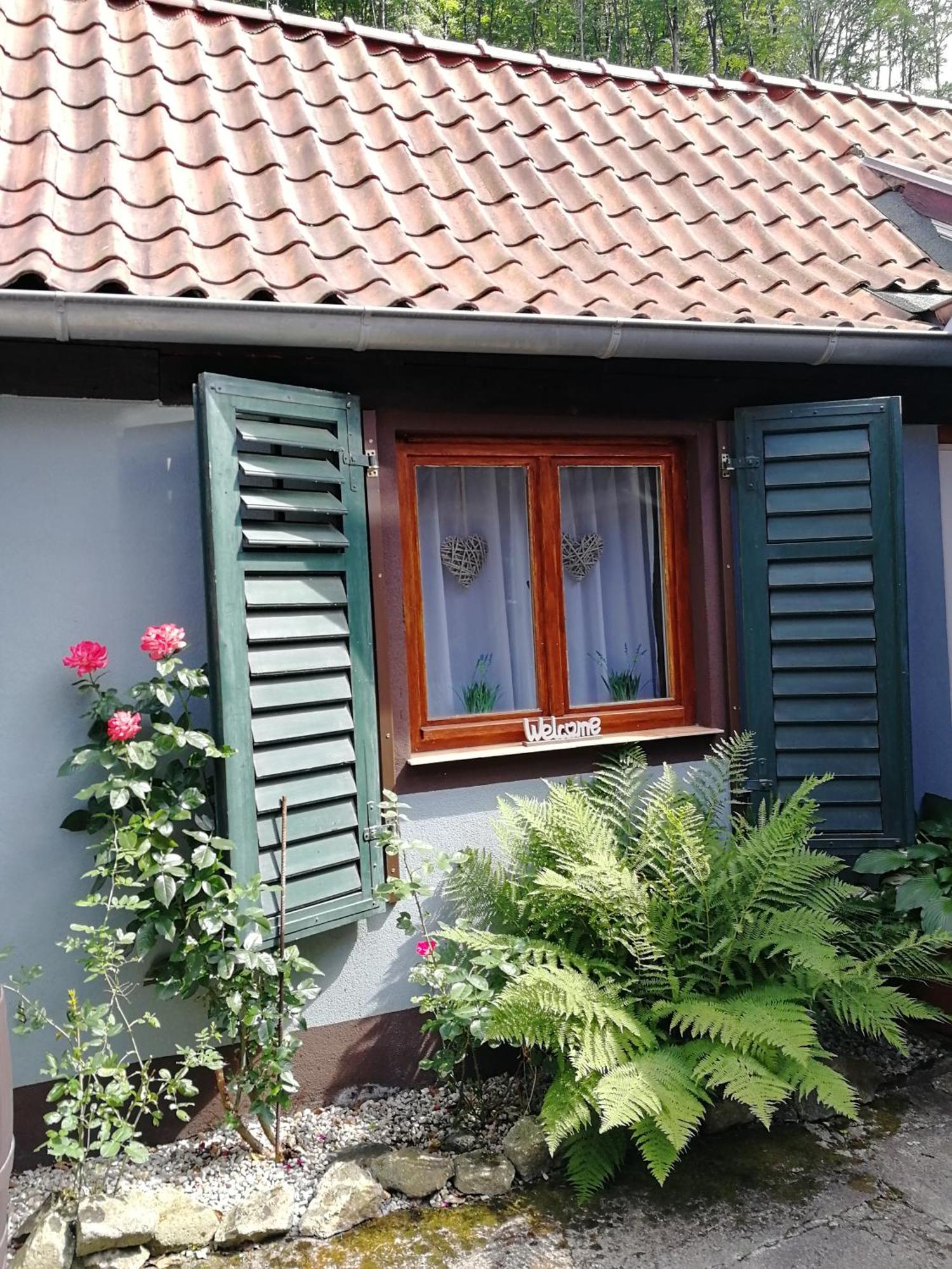 Ferienhaus Rosaly Stolberg i. Harz المظهر الخارجي الصورة