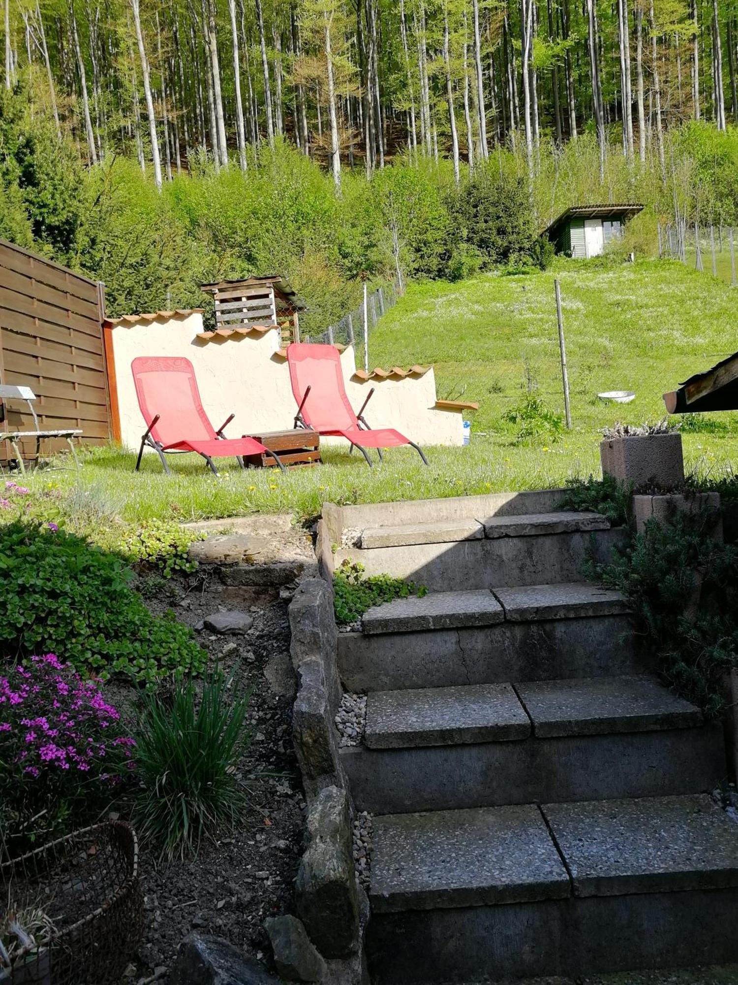 Ferienhaus Rosaly Stolberg i. Harz المظهر الخارجي الصورة